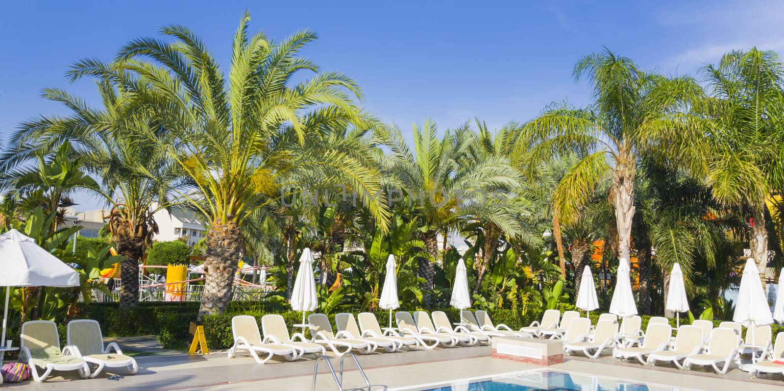 Holiday summer resort on mediterranean beach: swimming pool  and palms in the garden