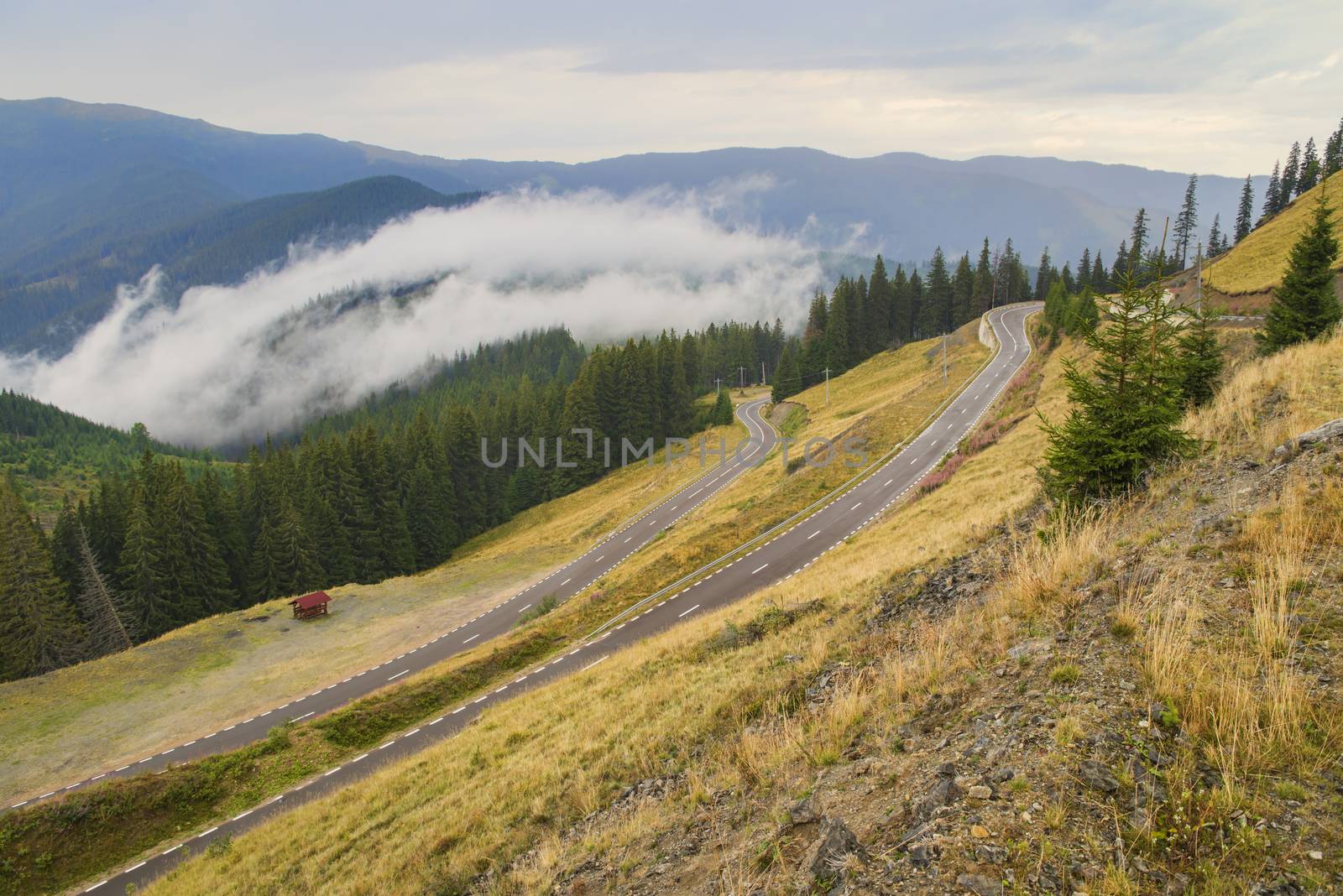 Curvy mountain road in a summer landscape, evergreen forest and clouds
