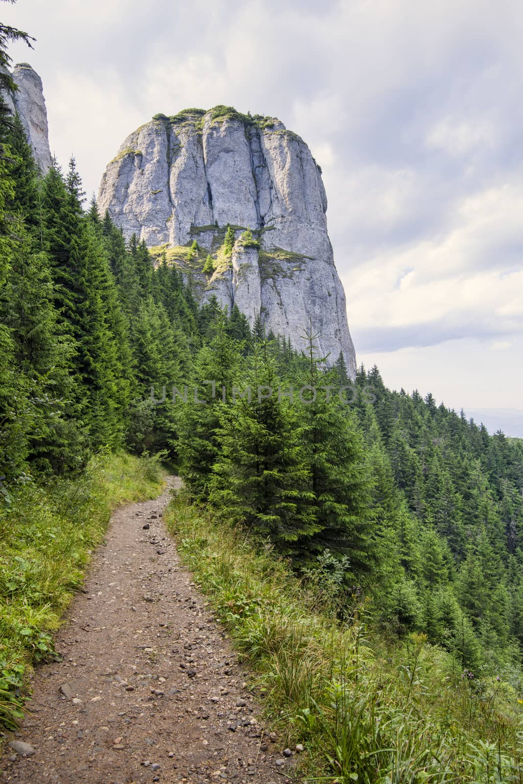 Beautiful hiking trail in Carpathians mountain, summer landscape