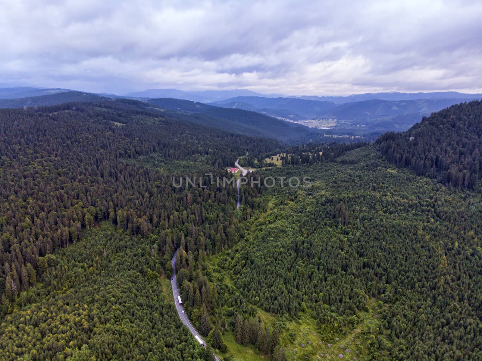 Road through green forest, aerial view by savcoco