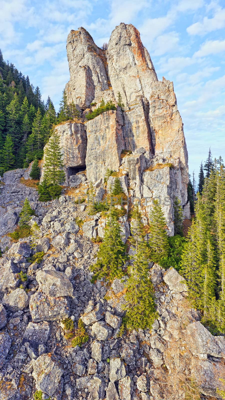 Cracked rock in the forest, Romanian Carpathians