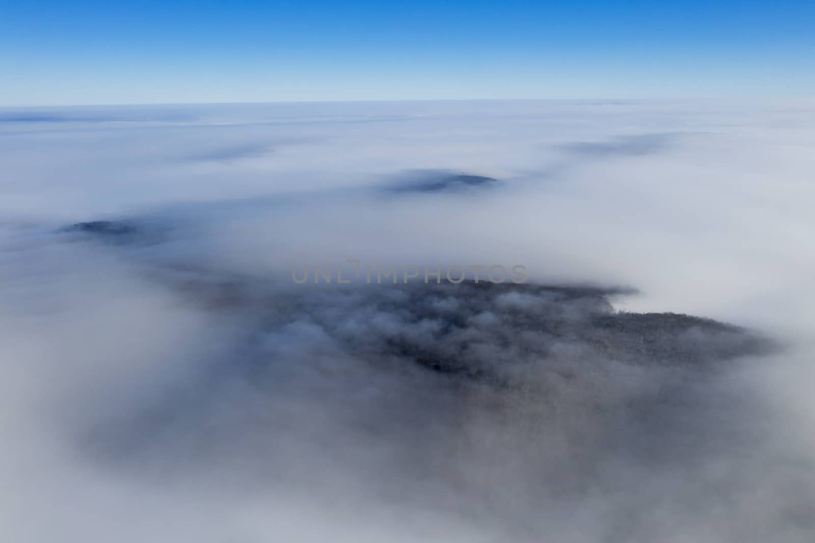Aerial view of foggy forest in a sunny morning.