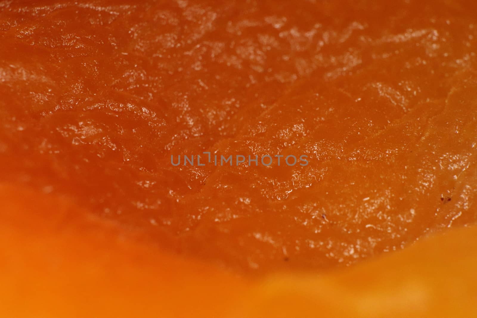 Fresh Dried Apricot Texture. Warm Nature Organic Background. Macro Closeup.