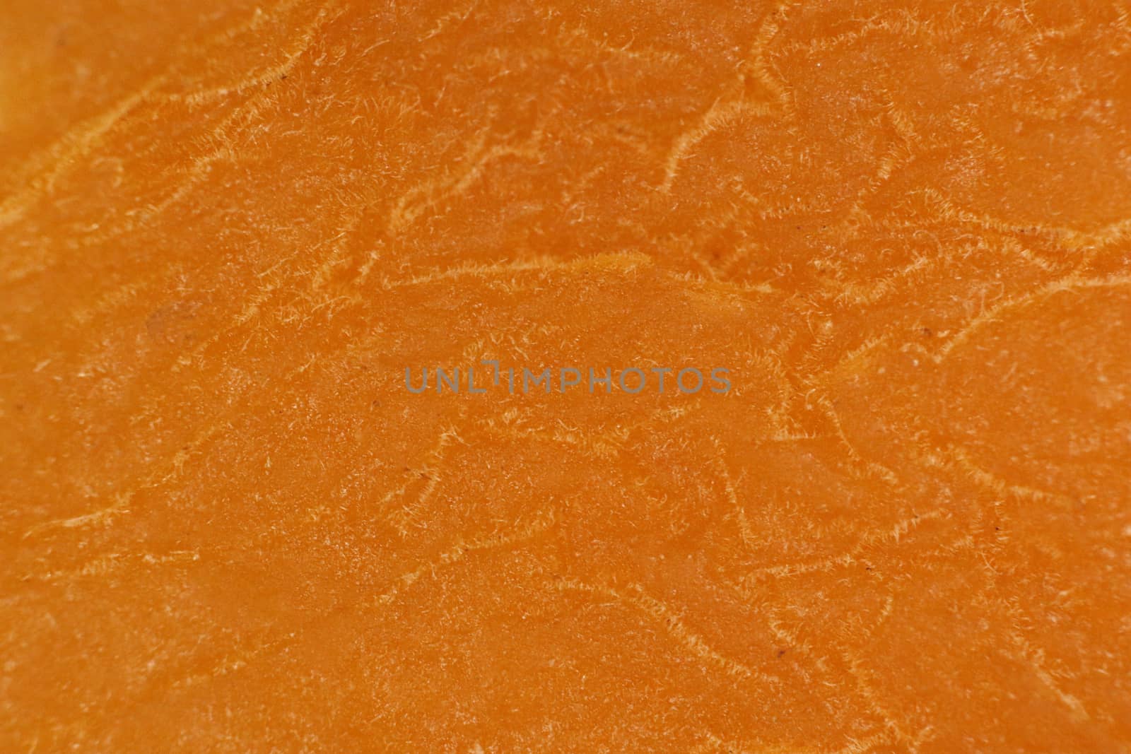 Dried Orange Apricot Texture. Warm Nature Organic Background. Macro Closeup.