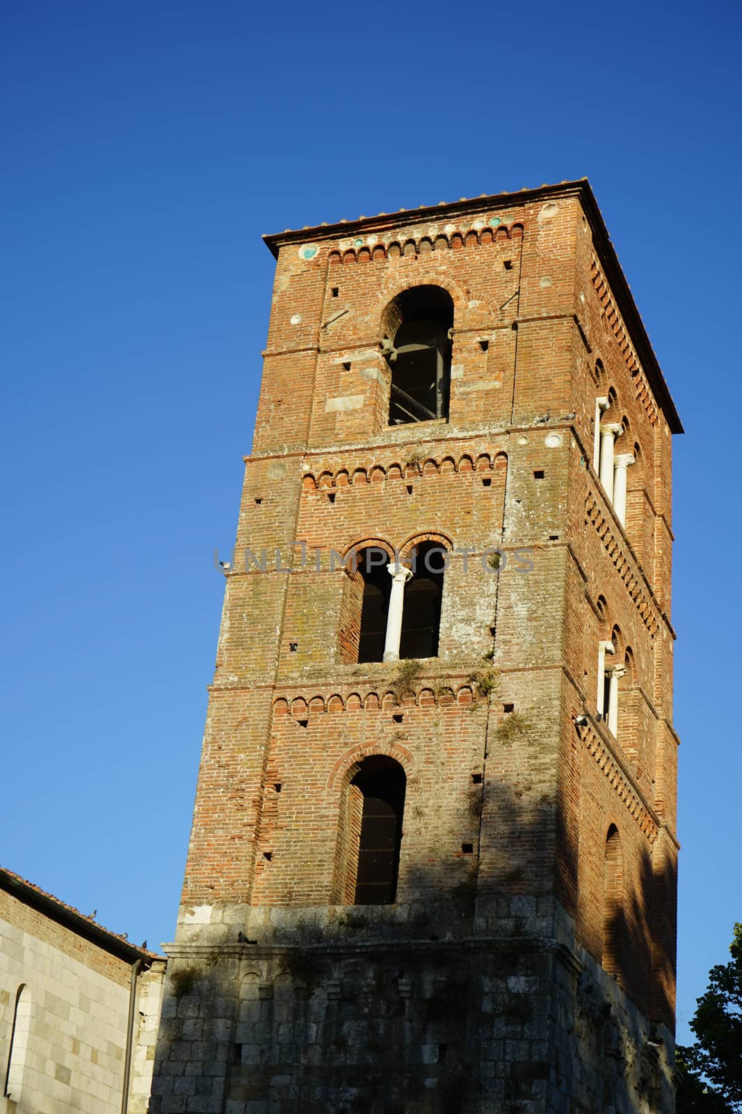 The leaning bell tower of the Church of San Michele degli Scalzi, Pisa - Tuscany, Italy