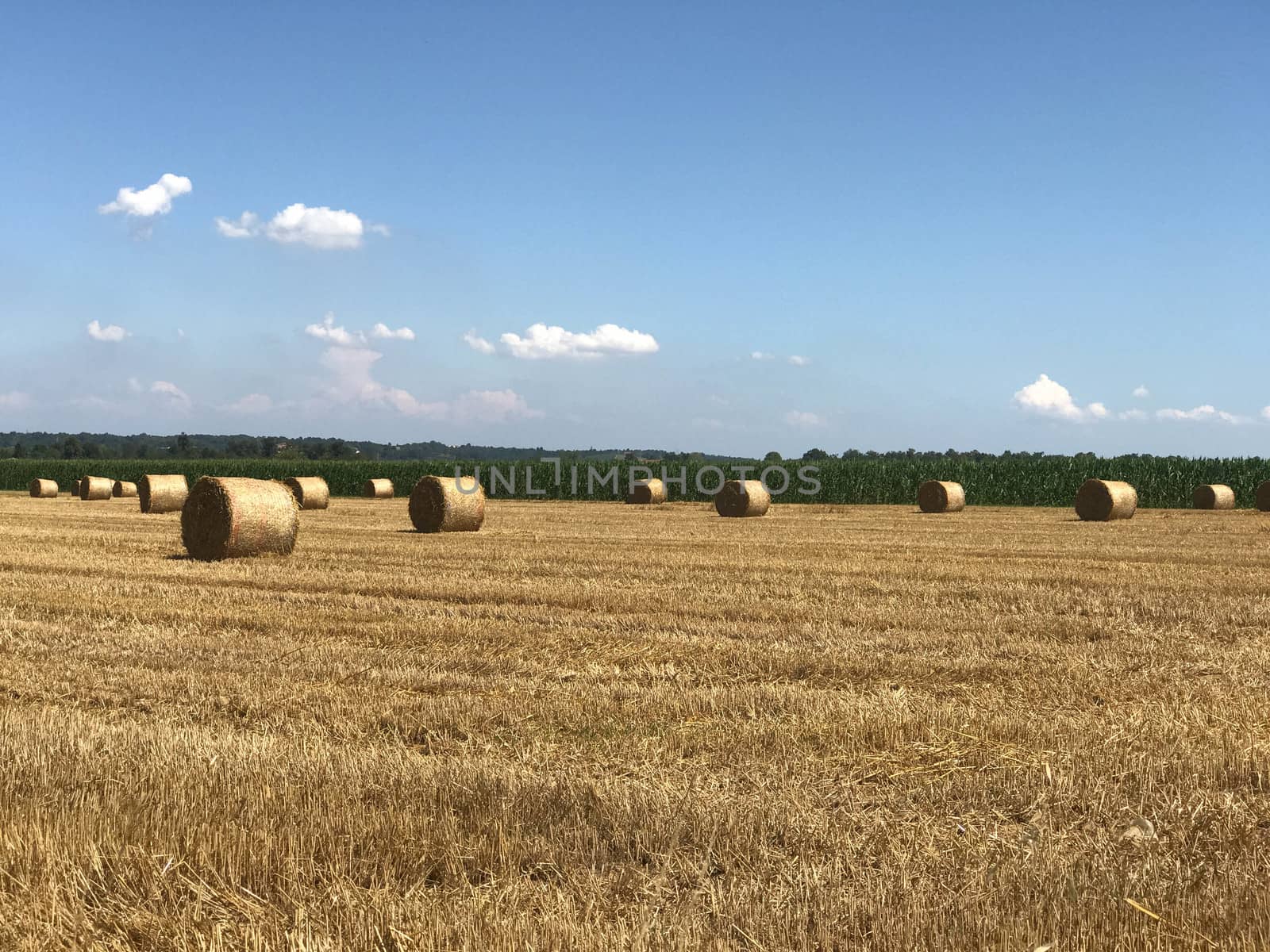 Hay bales in the countryside by cosca