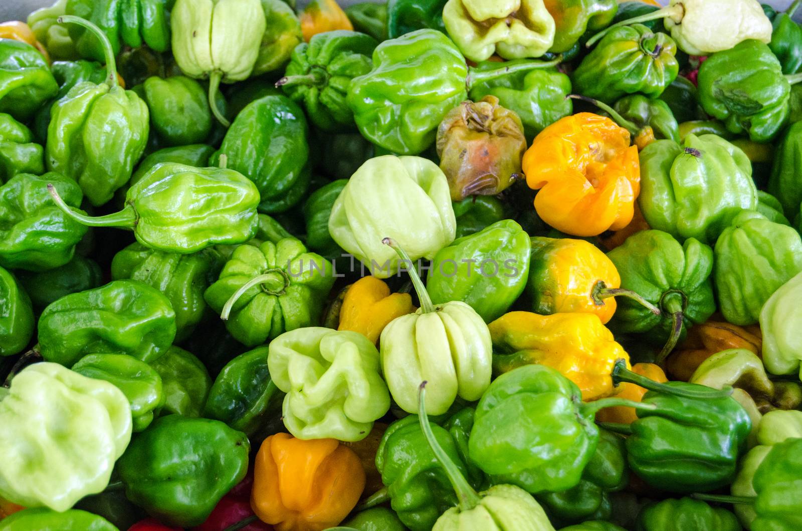 Chilli Peppers, Tobago market by BasPhoto