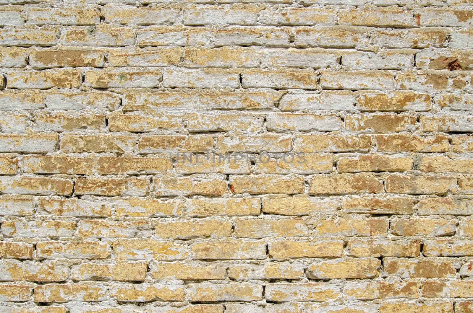 Weathered yellow brick wall with whitewash wearing off.  Historic wall at Forte Marghera, Mestre, Veneto.  