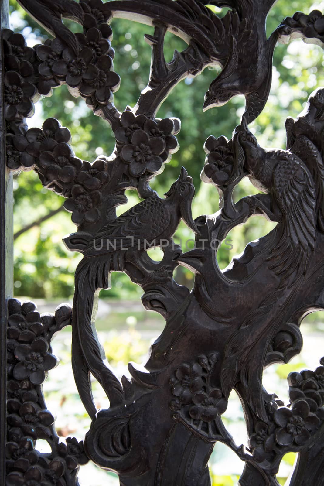 Carved wooden door detail of bird