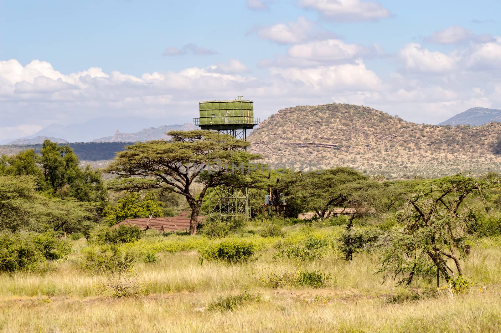 A green water storage tank on stilts in the savannah of Samburu park in Kenya