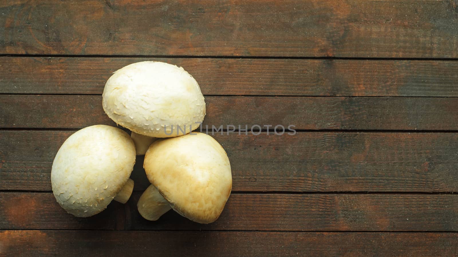 Top view, three mushrooms on wooden background.Space for text