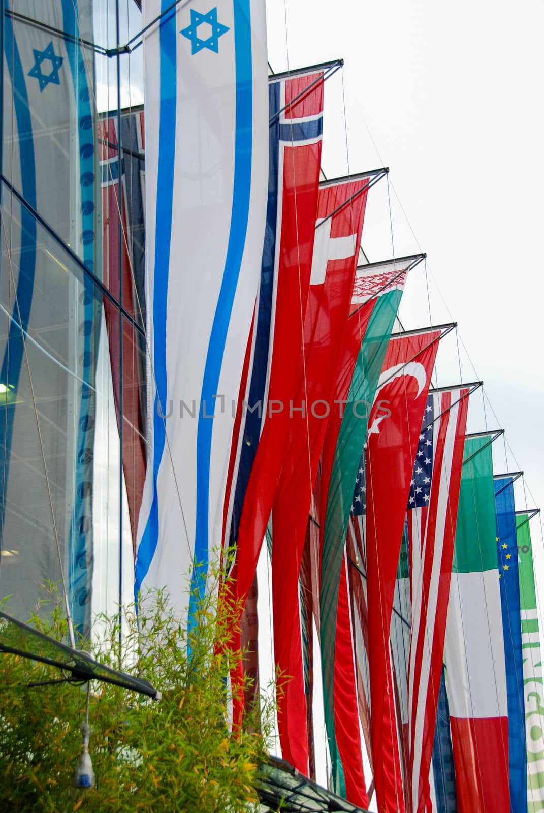 Flags by cosca