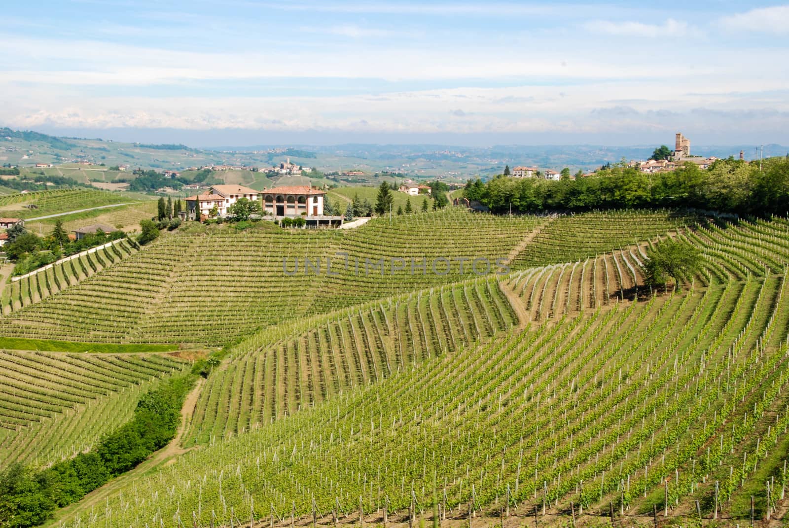 View of Langhe hills near Alba