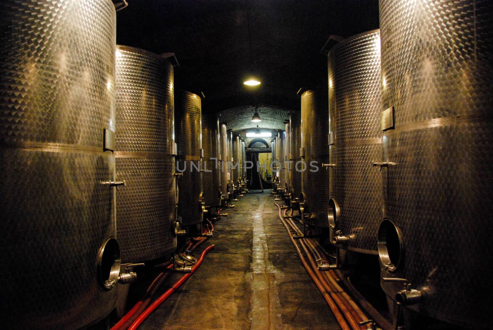 Wine cellar with Barolo wine