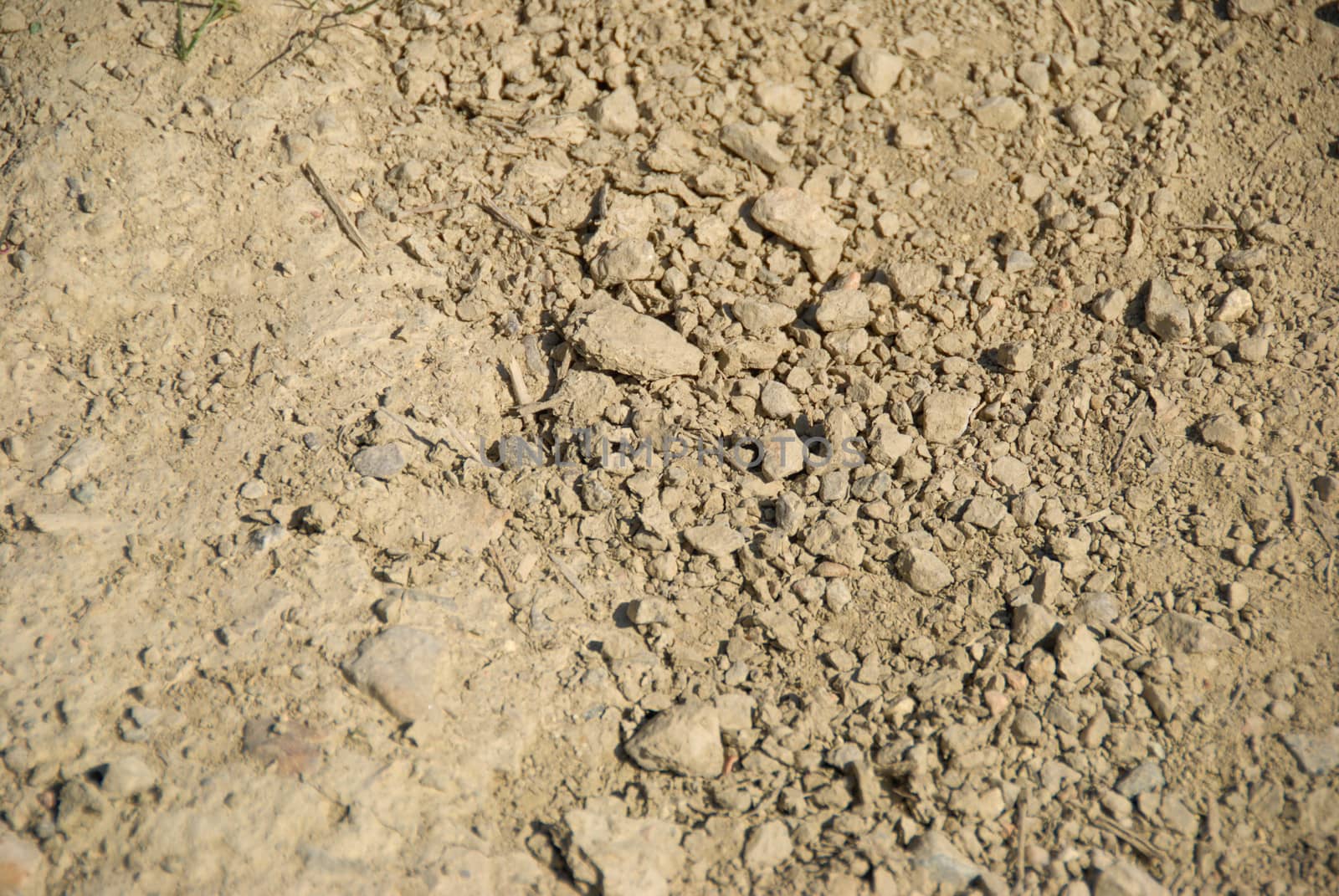 Background of ground of a vineyard