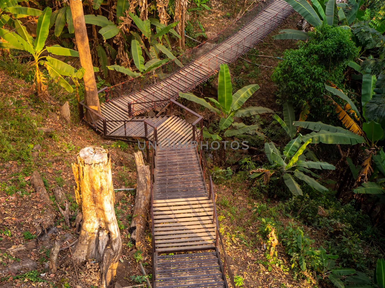 The ladder is upward. The upper is upward in nature. The road to the fores