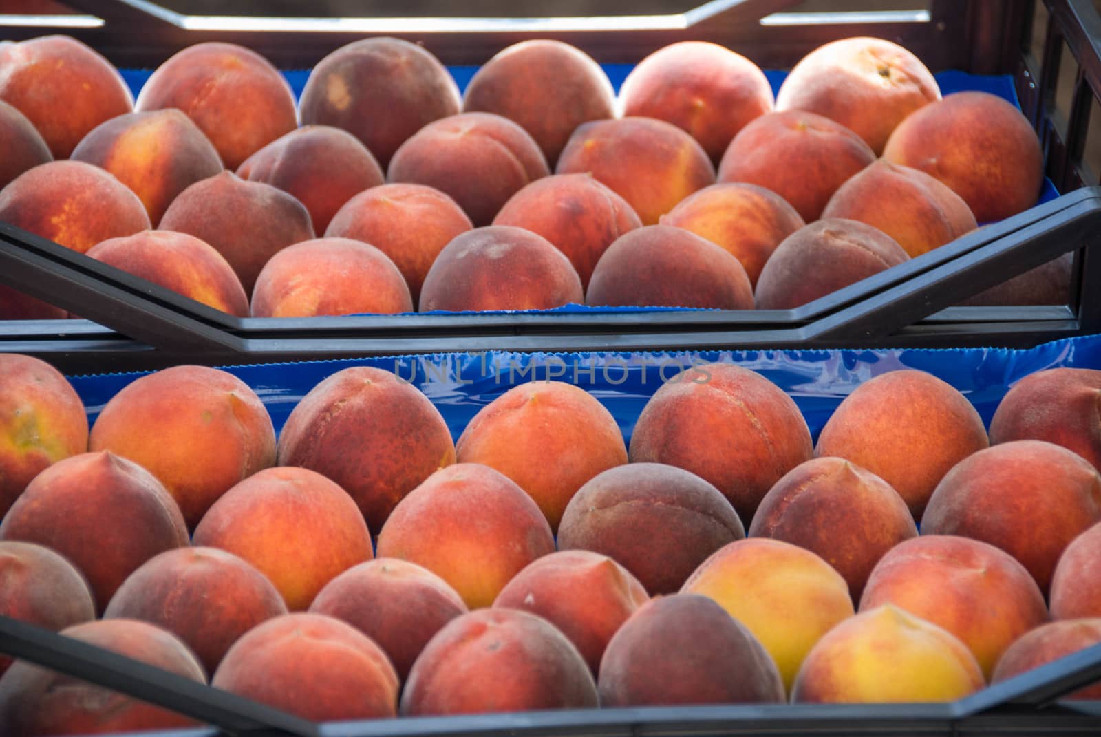 Basket with peaches at the market