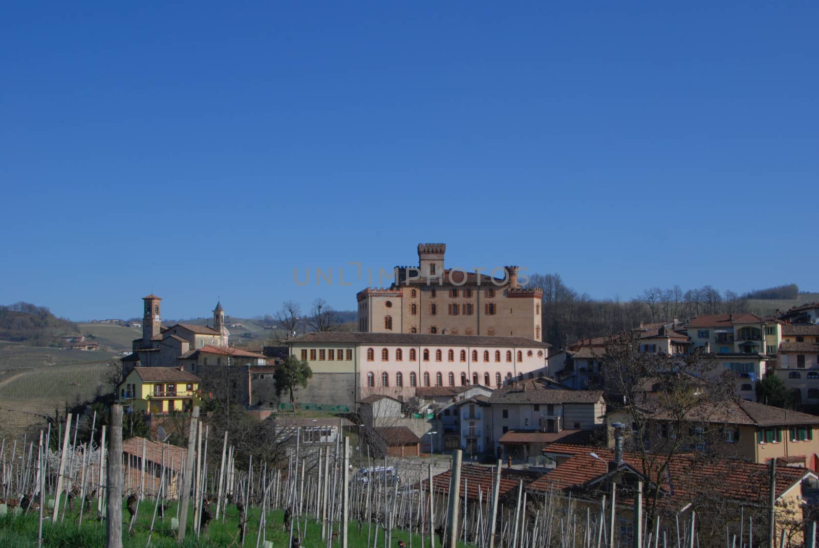 Castle "Falletti" of Barolo, Cuneo - Piedmont by cosca