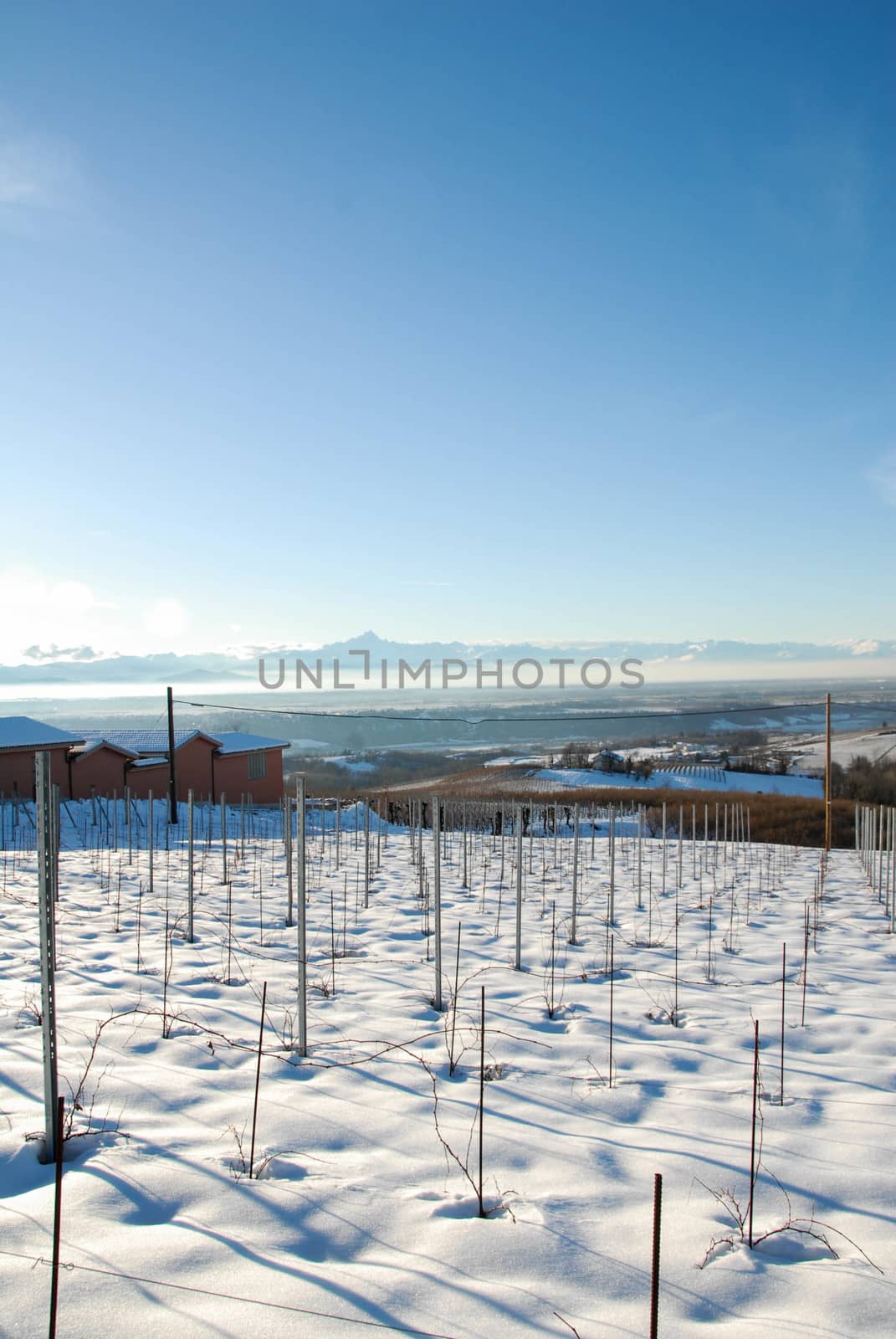 View of the Langhe hills with snow by cosca