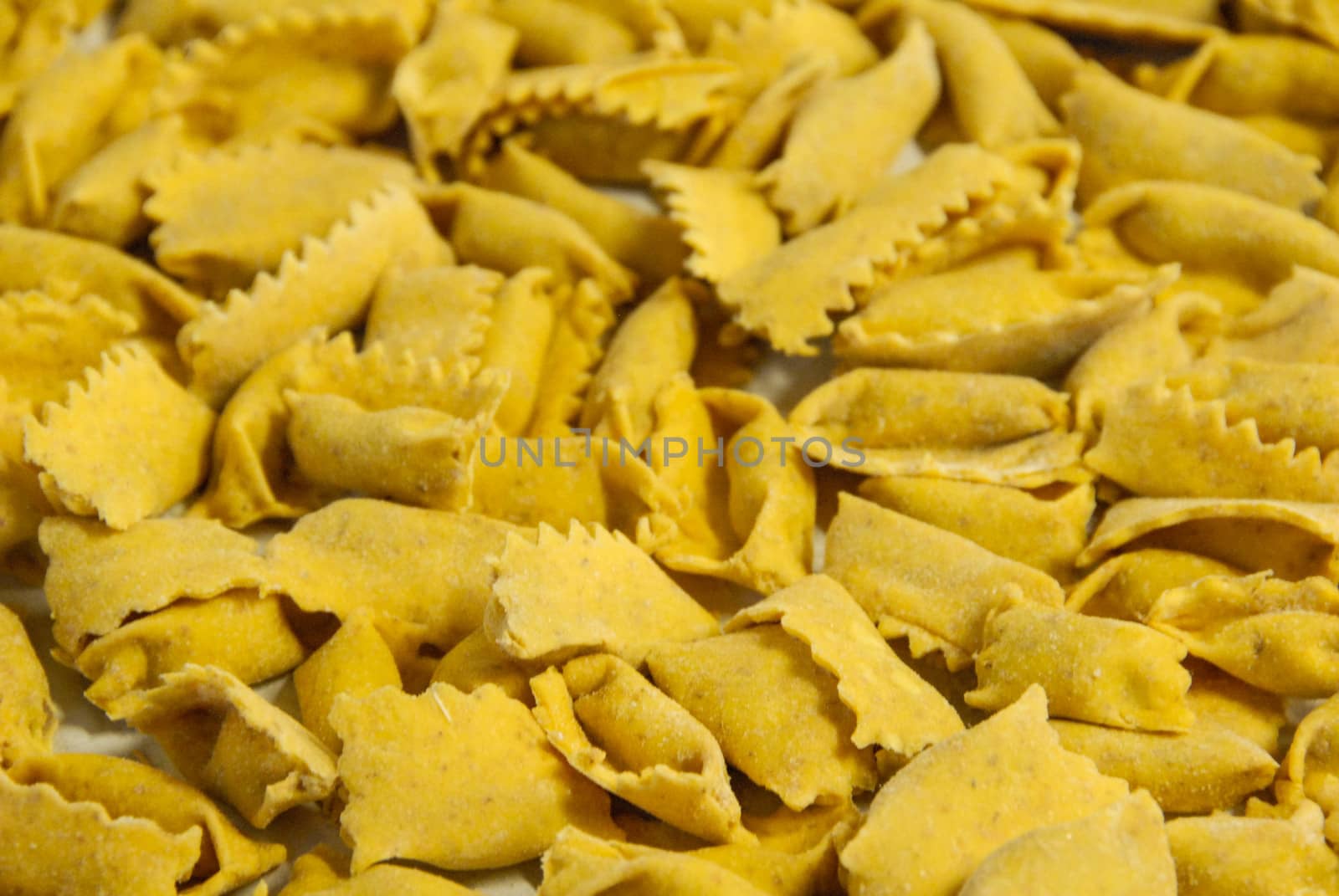 Typical pasta of the Langhe: agnolotti by cosca