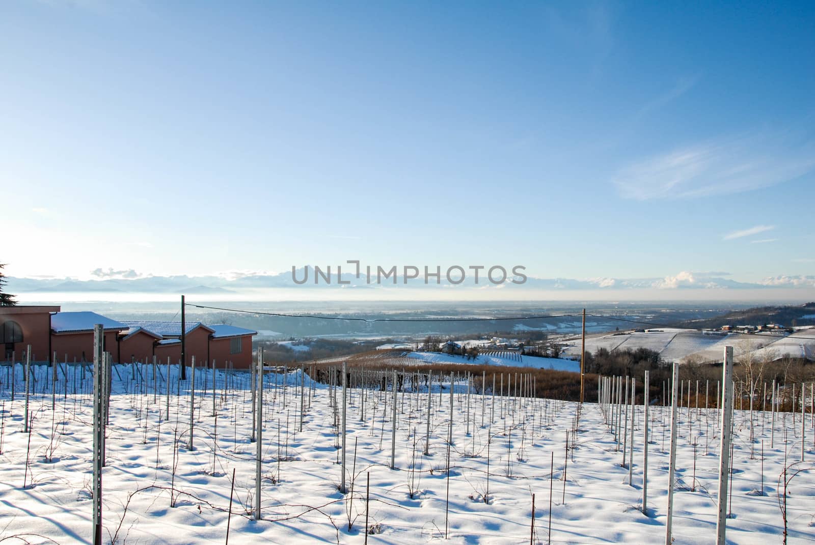 View of the Langhe hills with snow by cosca
