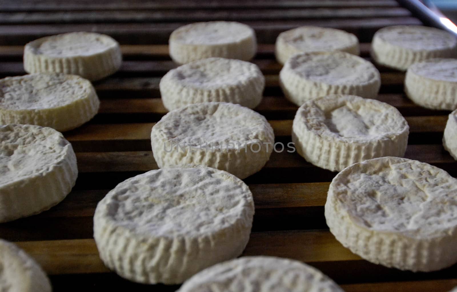 Italian Toma Langhe cheese in Piedmont - Italy by cosca