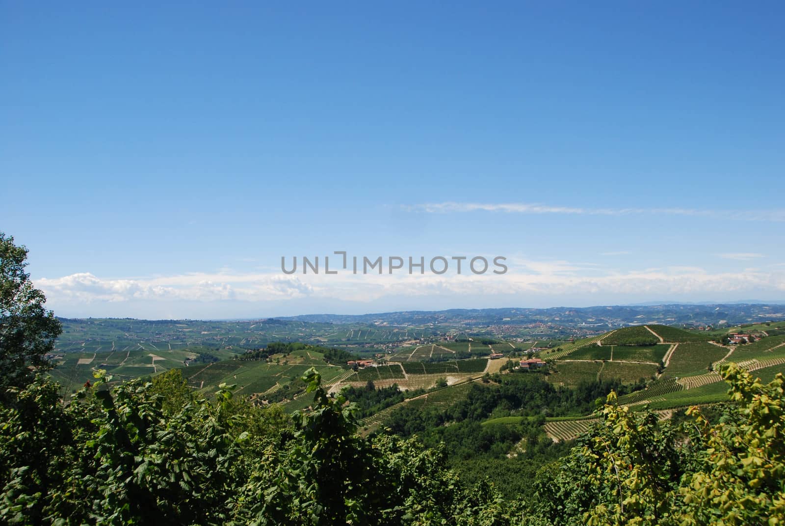 Hills around Albaretto Torre by cosca