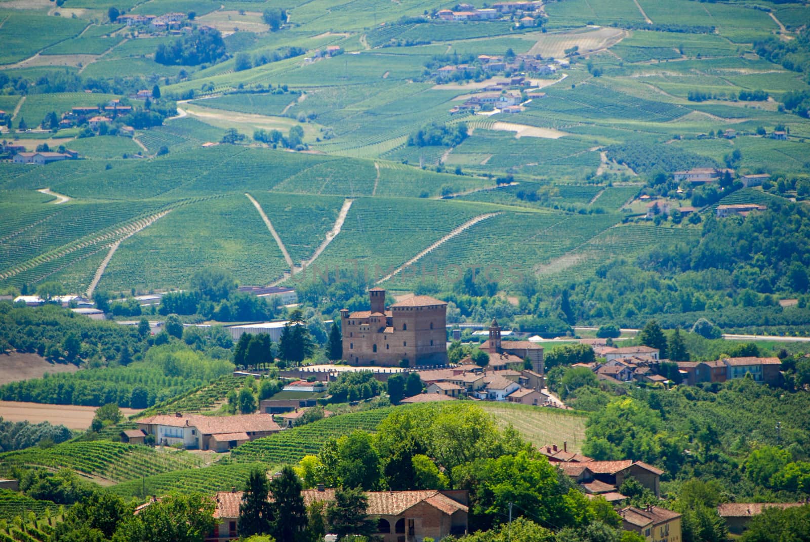 The hills of Langhe with the Castle of Grinzane Cavour, Piedmont - Italy