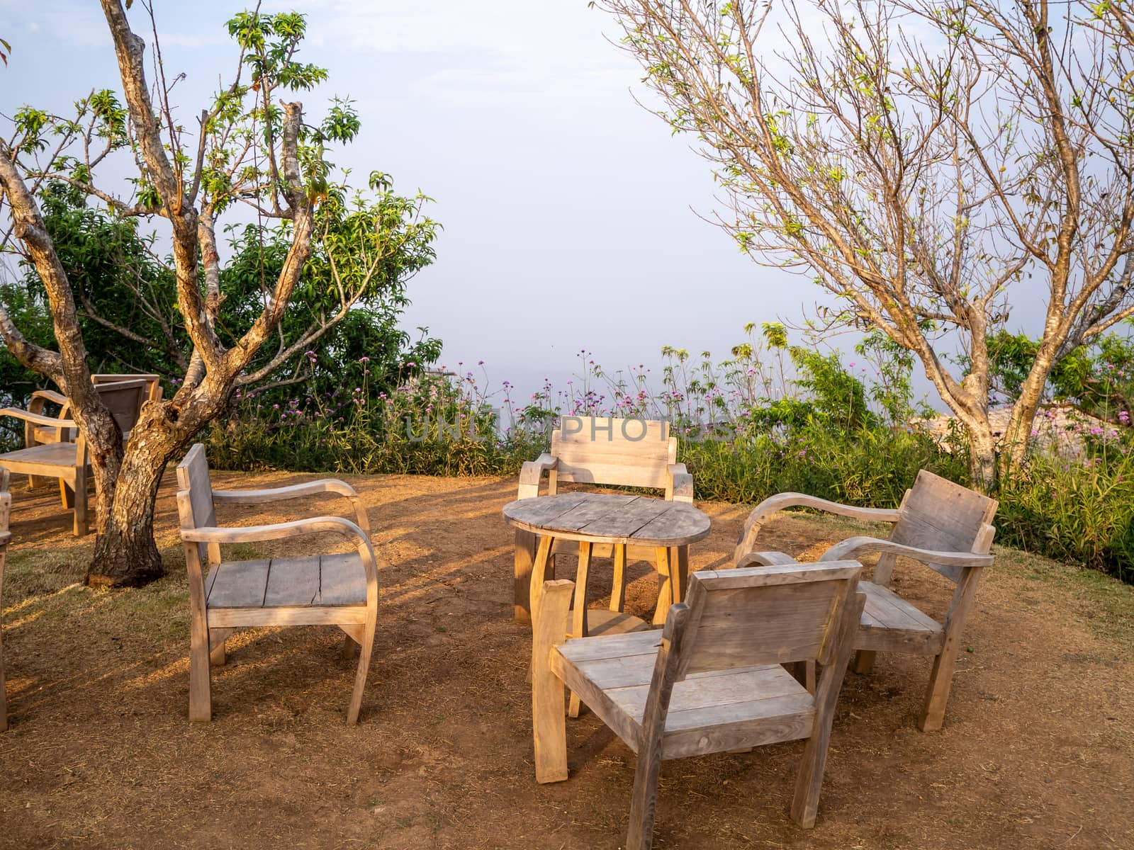 table and chairs standing on a lawn at the garden