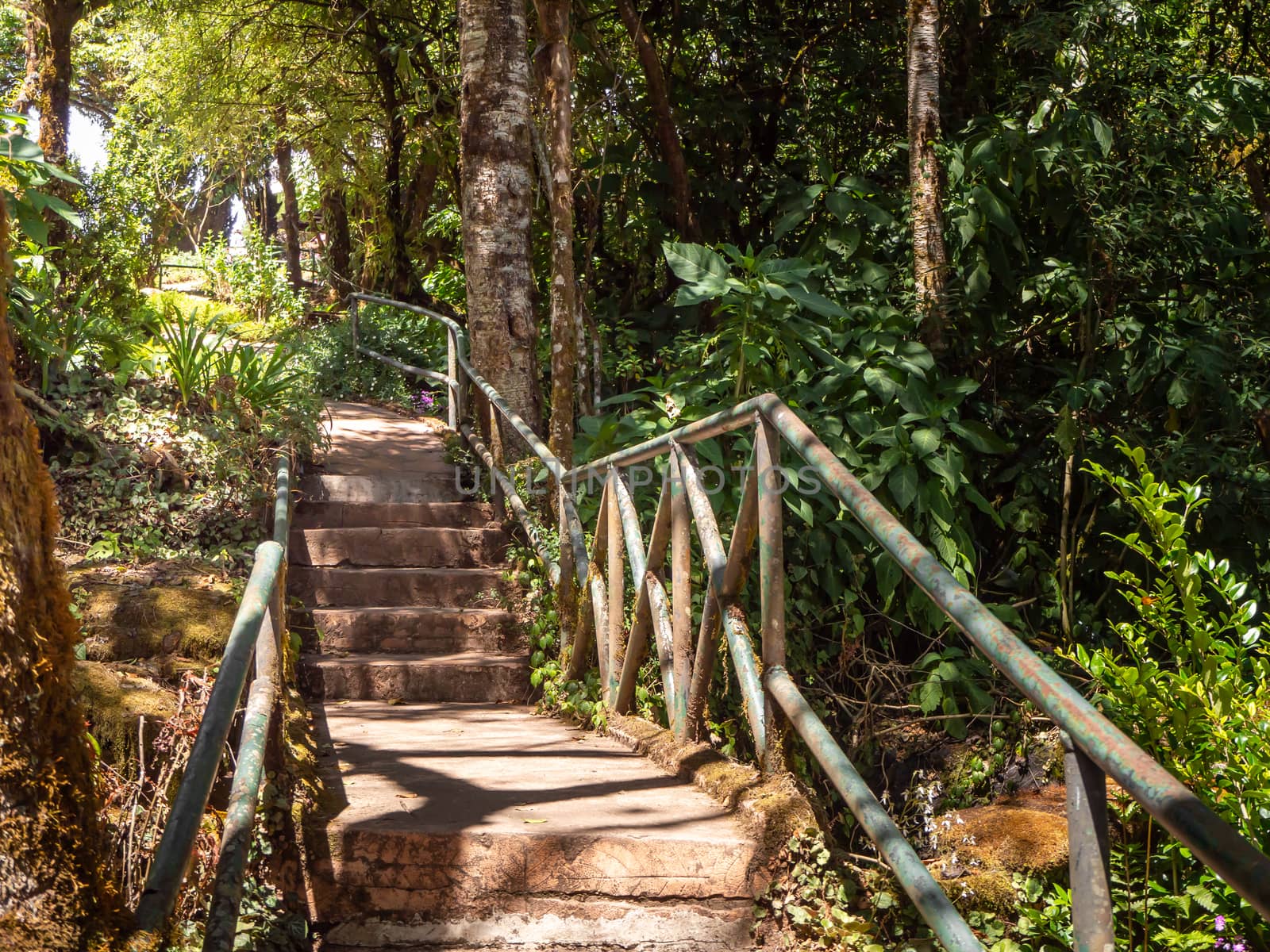 stone staircase, walkway steps on the mountain trail.