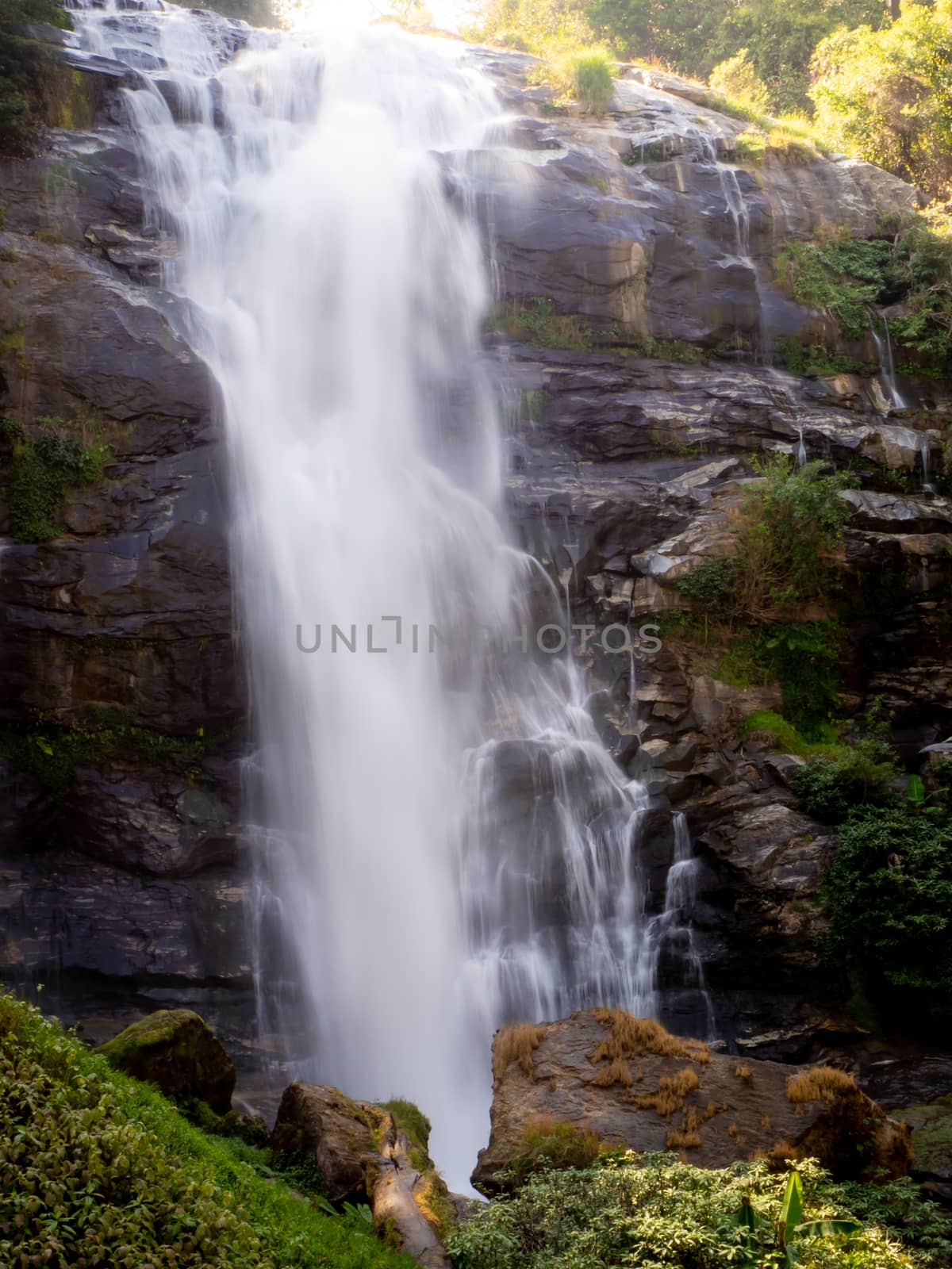 The Waterfall green forest river stream landscape