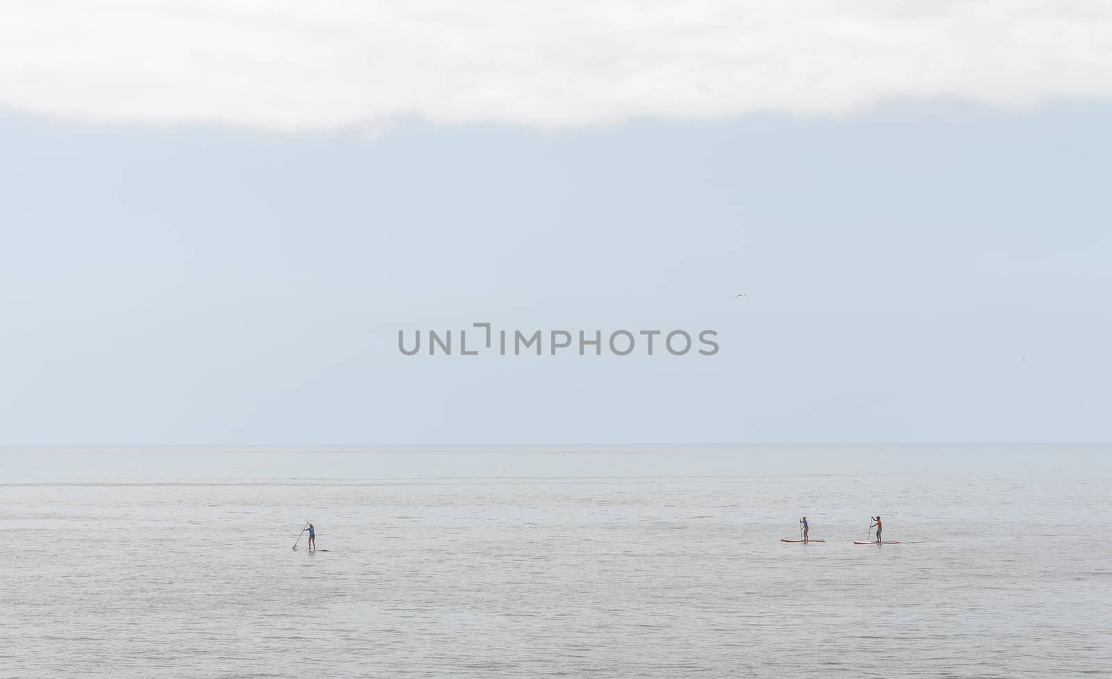 Three people practice paddle surfing in a totally calm sea