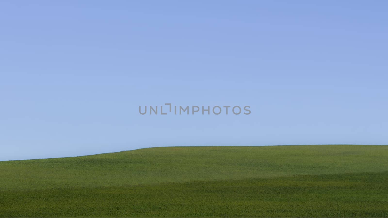 Minimalist image of a landscape with a green prairie horizon on a hill and a blue sky