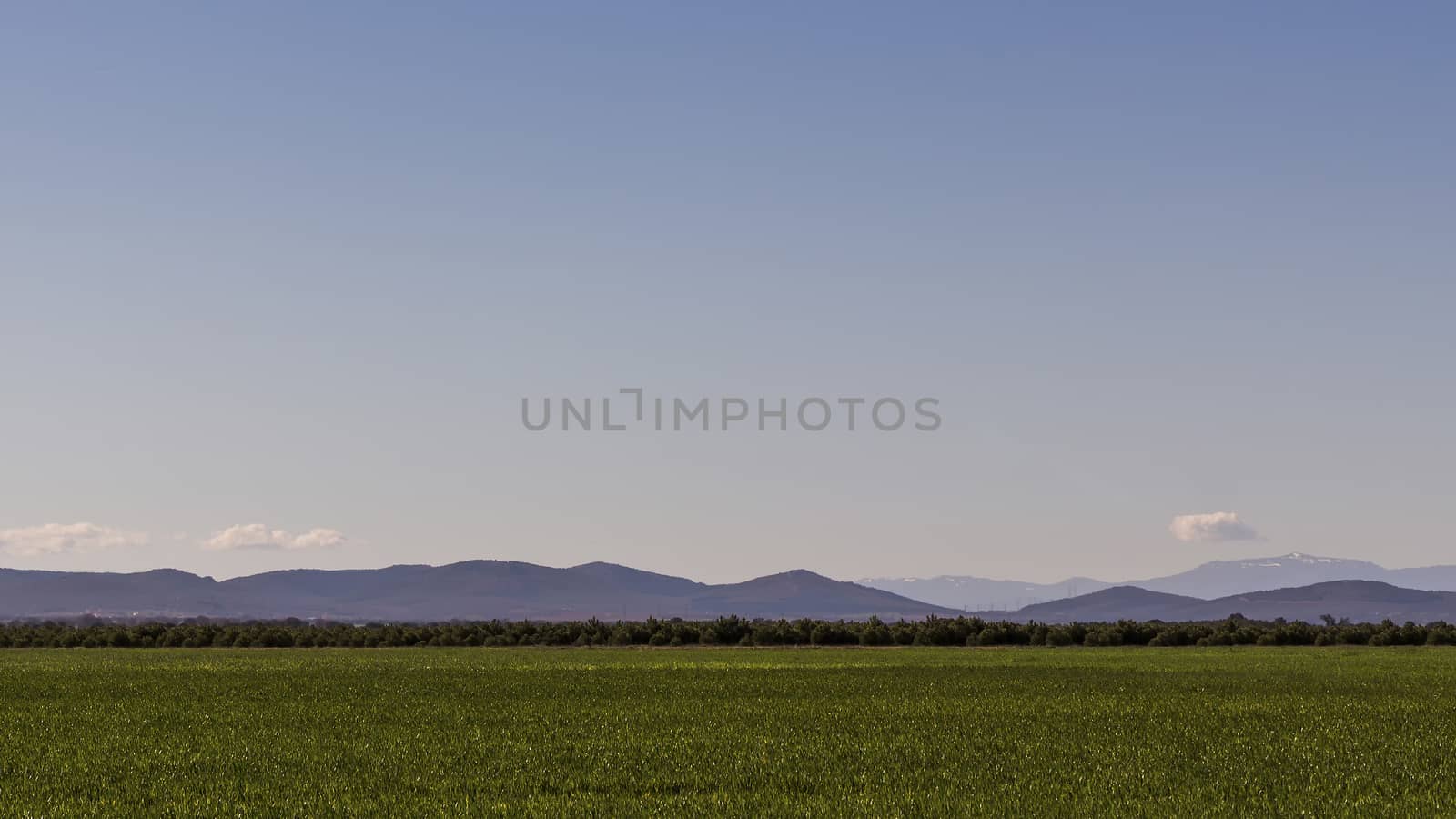 Green plain with mountains in the distance