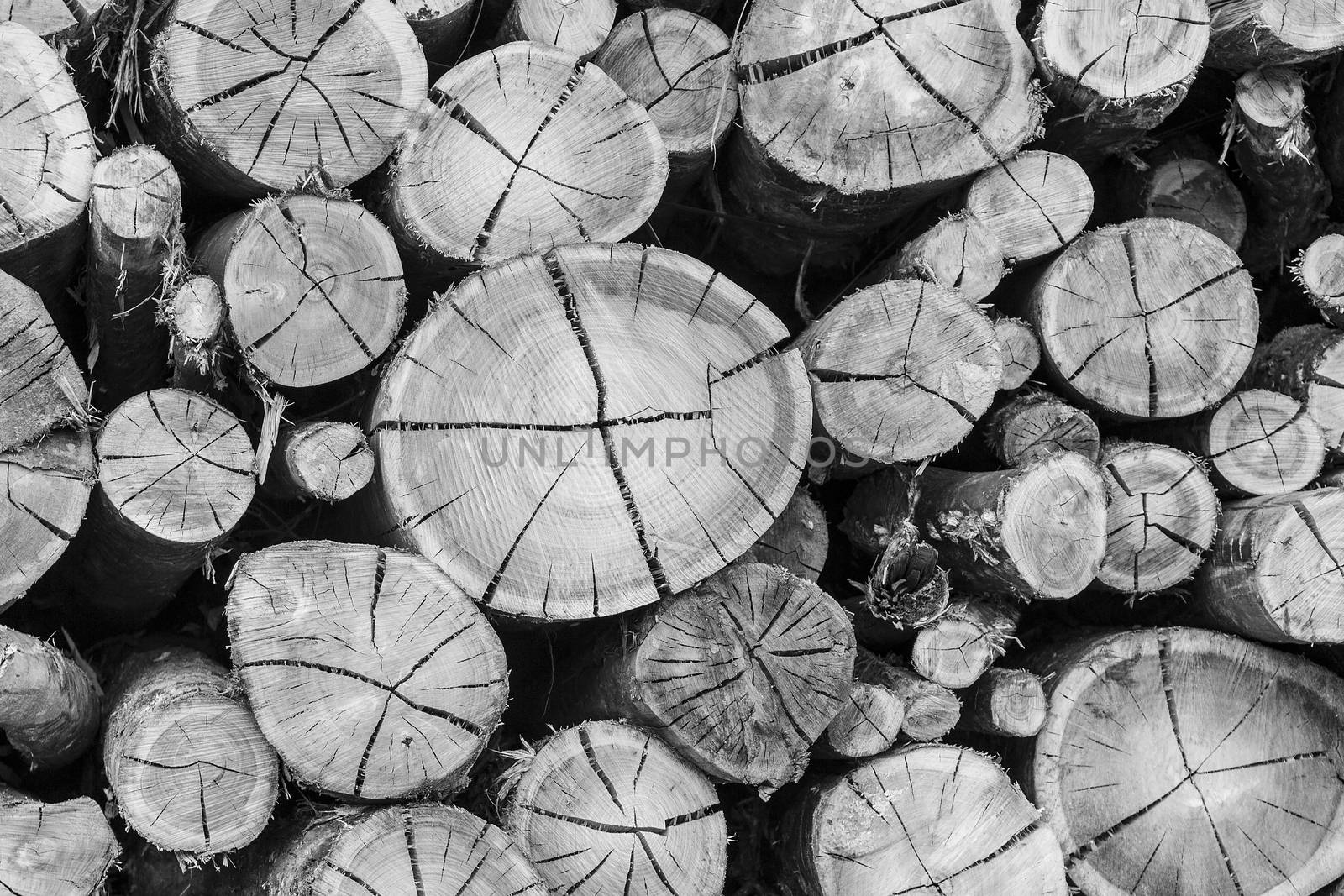 Stack of wooden logs in a pattern, in black and white