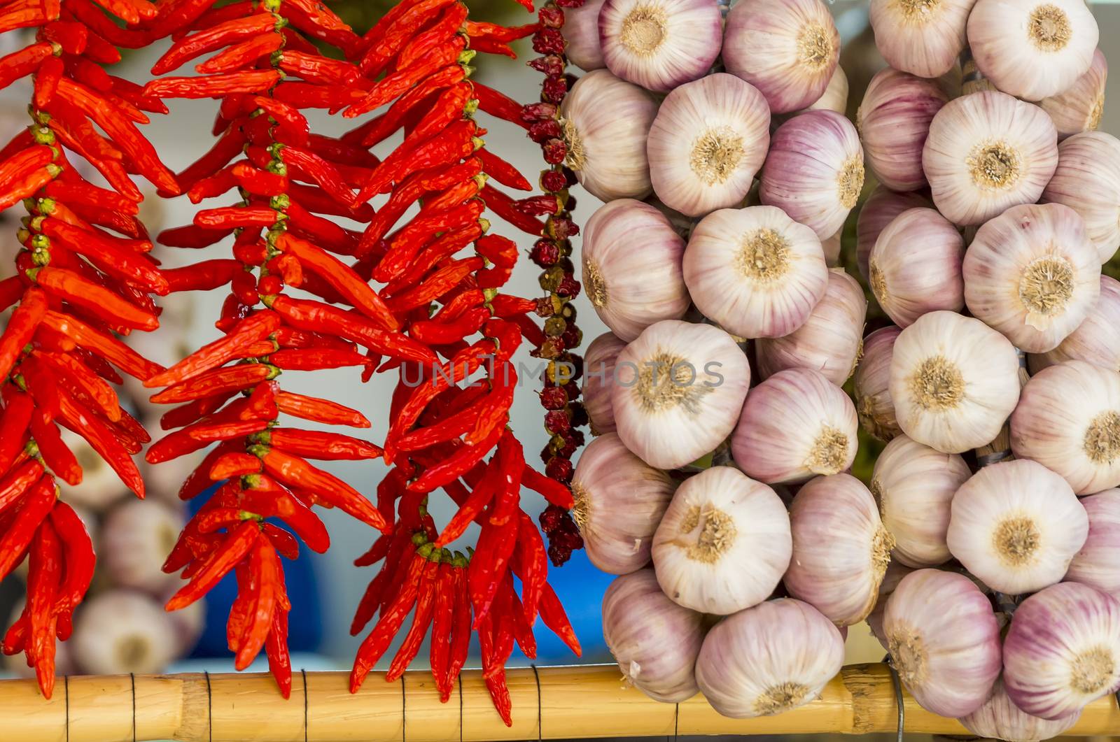 Close-up of several strings of chilli peppers and garlic hanging in a market