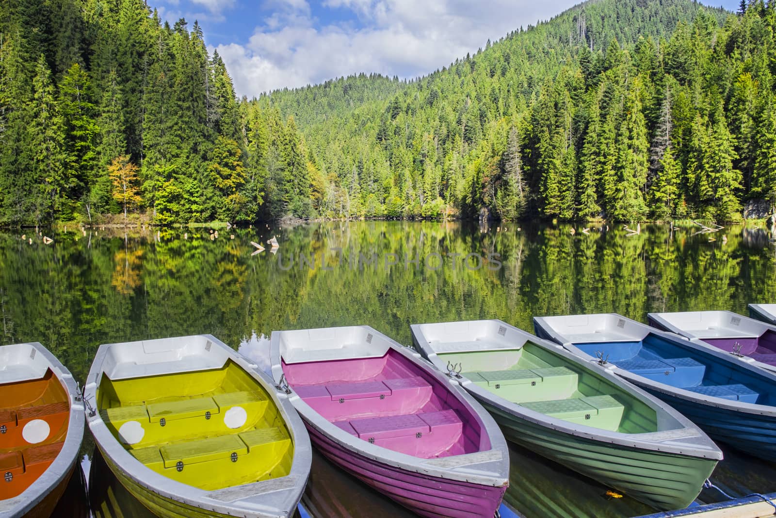Colorful boats docked on a mountain lake, green forest mirroring in lake. Natural dam lake in forest, Red Lake in Romania
