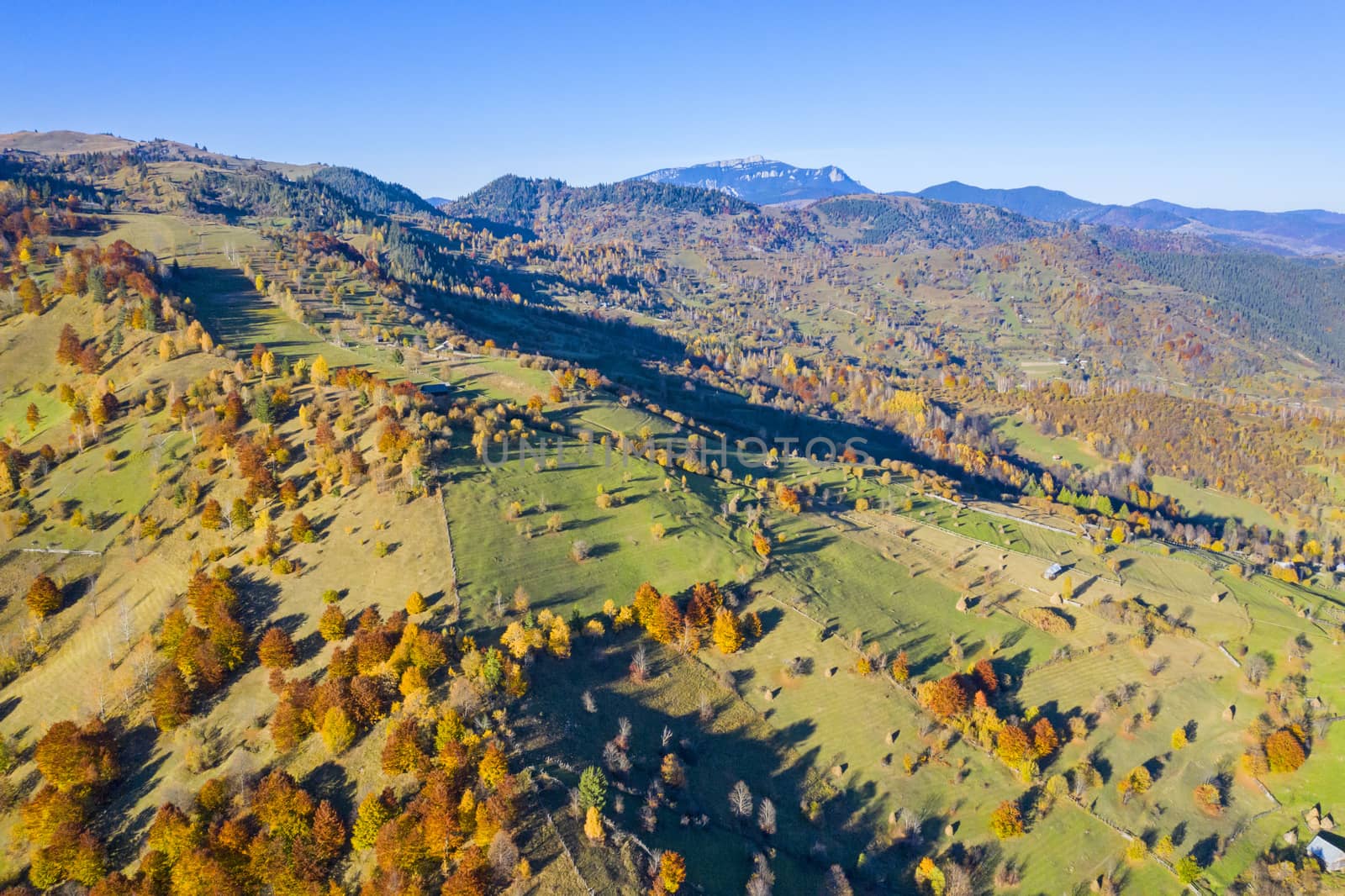Aerial view of pastures and forest in autumn colors and the blue sky.