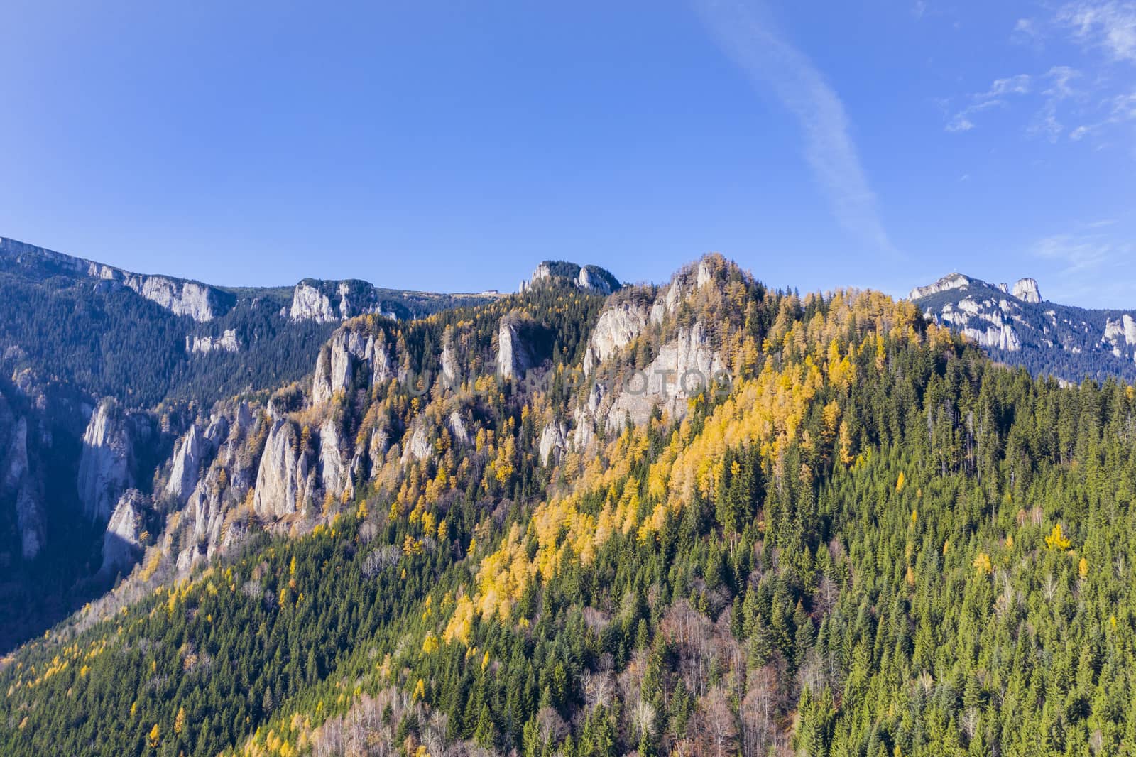Autumn mountain landscape  with yellow larch tree and rock formation in the Carpathians
