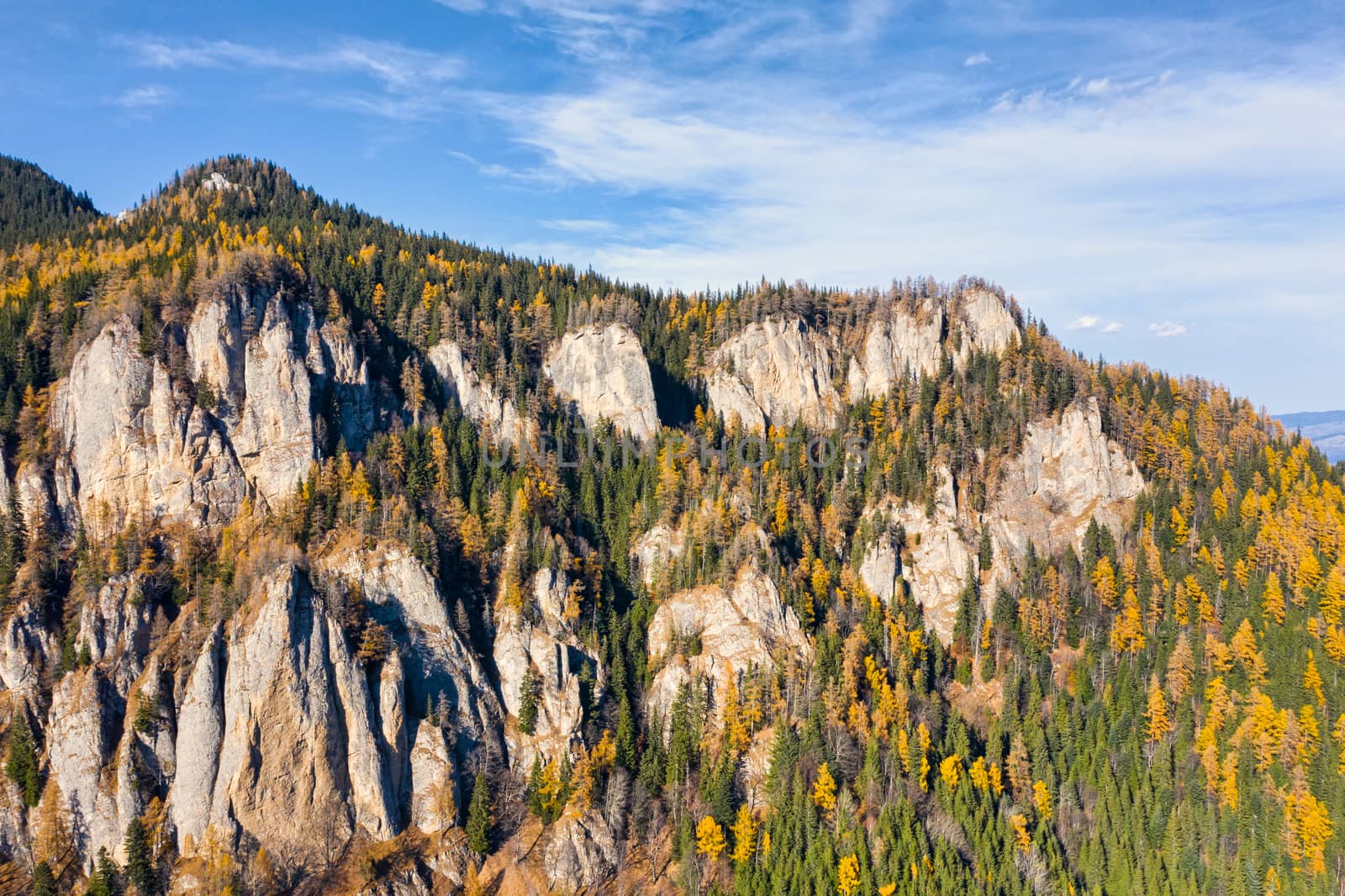 Beautiful larch trees in autumn yellow, evergreen forest and rock formation