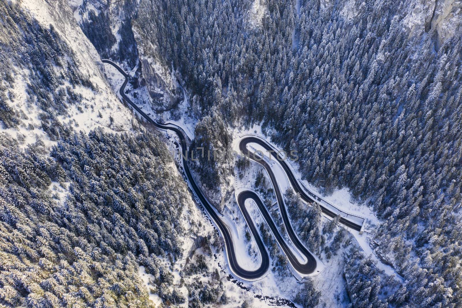 Curvy road in winter forest by savcoco