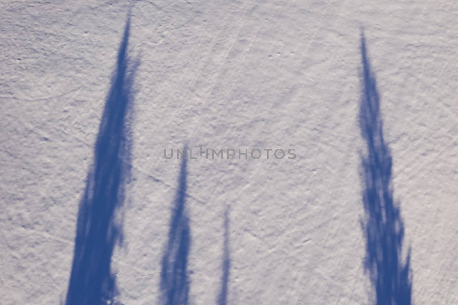 Tree shadows on white fresh snow, above view