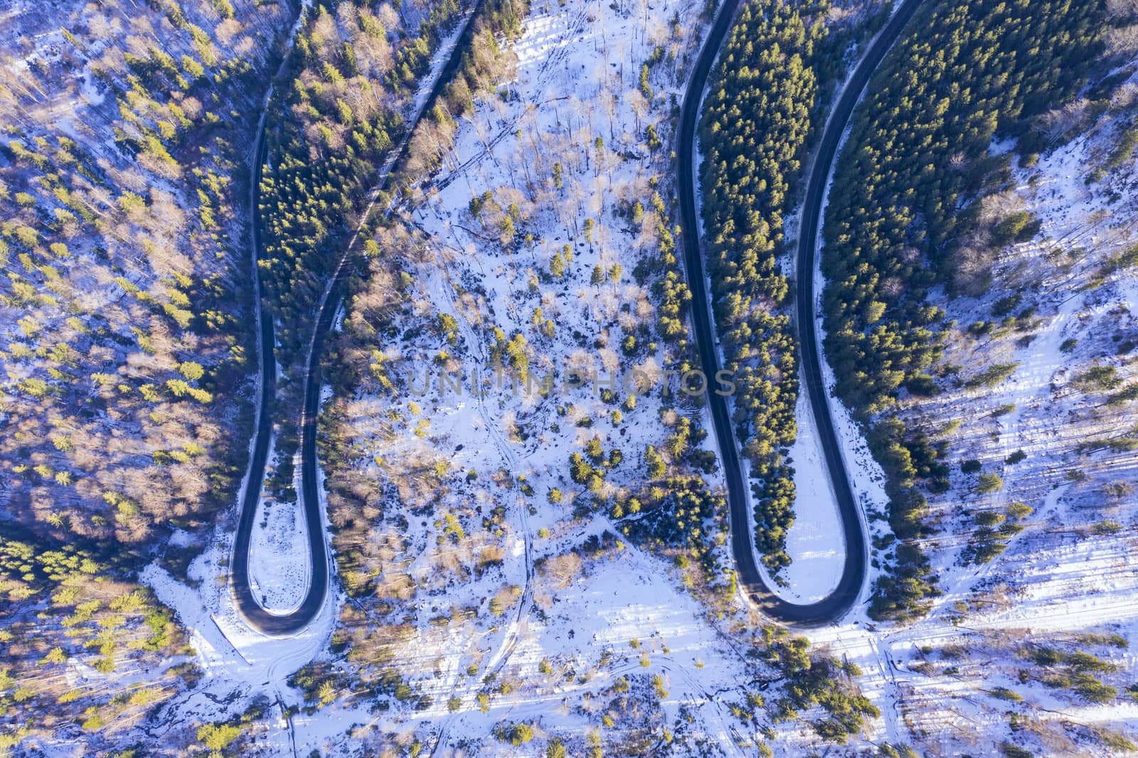 Above view of winding road in winter forest