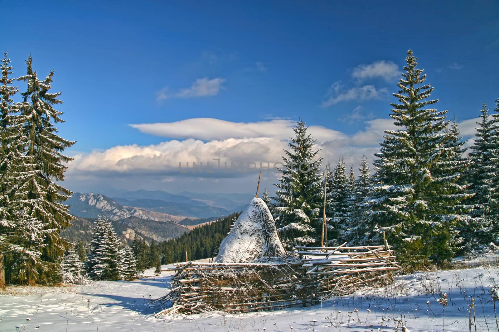 Winter landscape in opening forest, snow covered hay stack in center