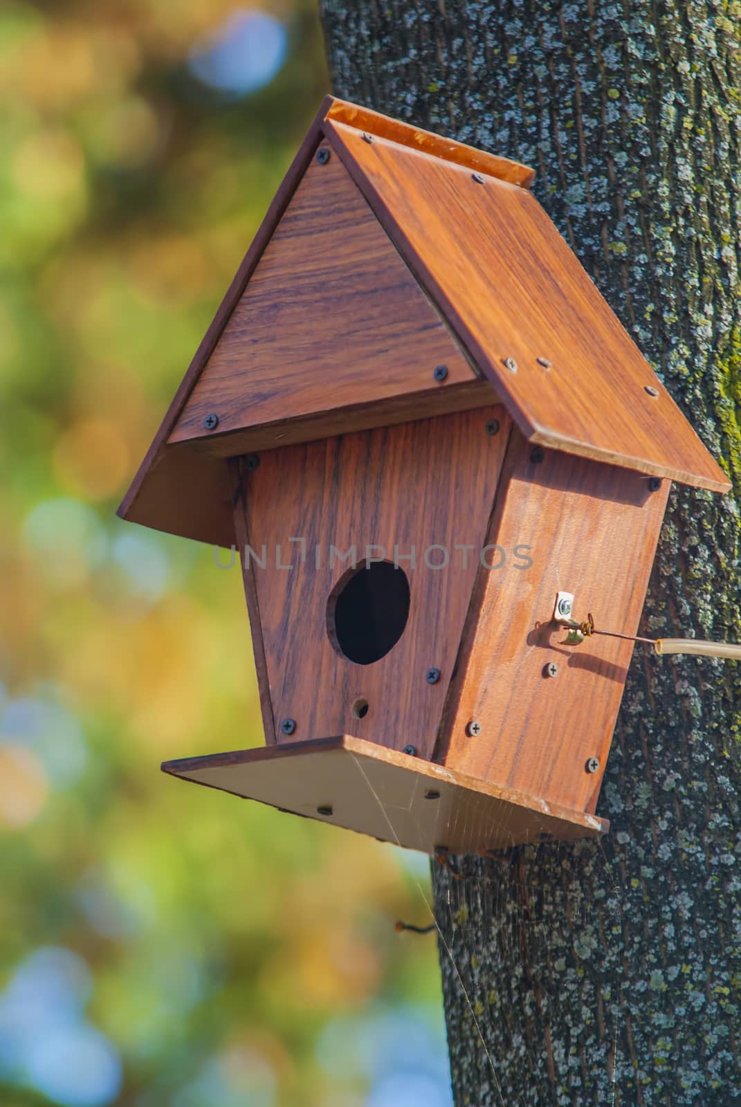 Wooden birds house in the tree, summer park scene