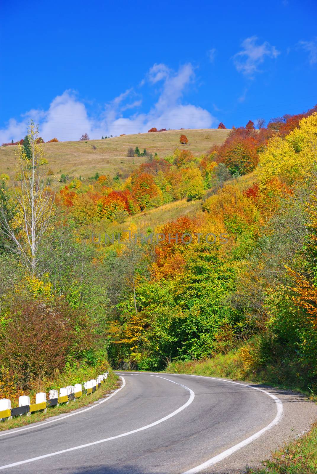 Autumn uphill road, colorful trees in a rural landscape