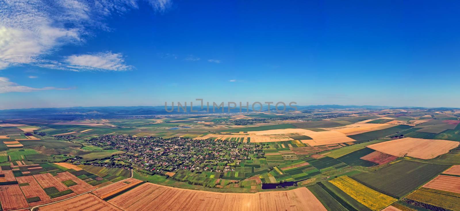 Summer panorama aerial view of village and culture fields
