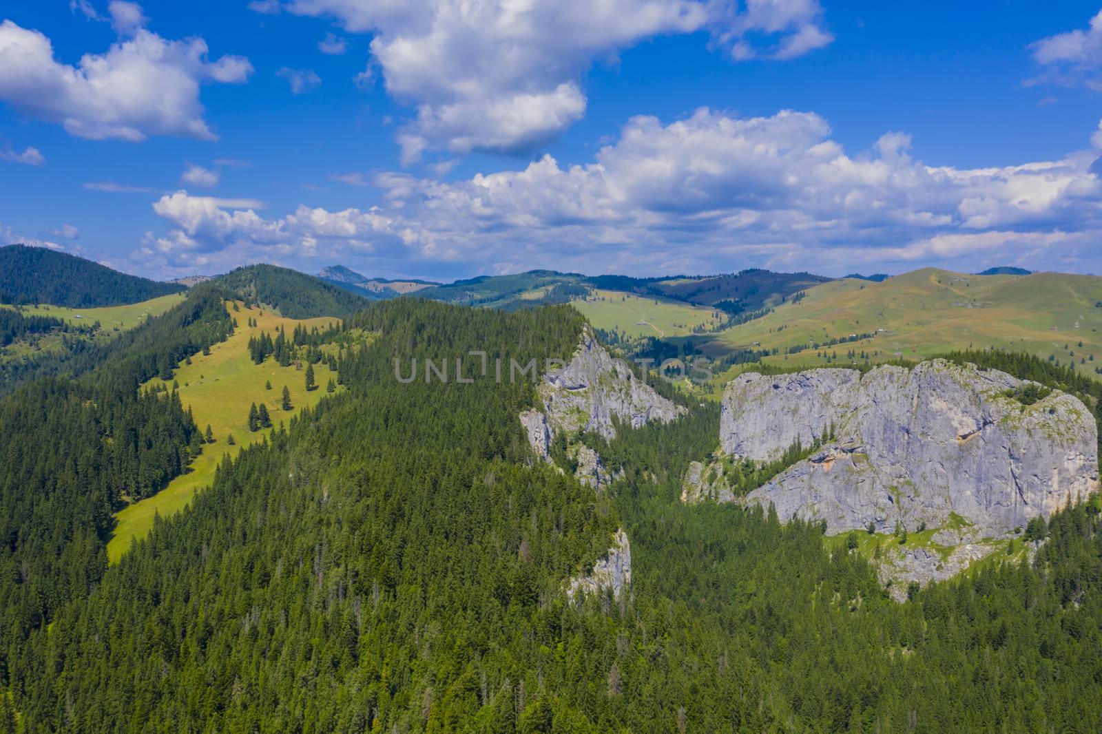 Mountain pasture and rocky forest in a summer landscape