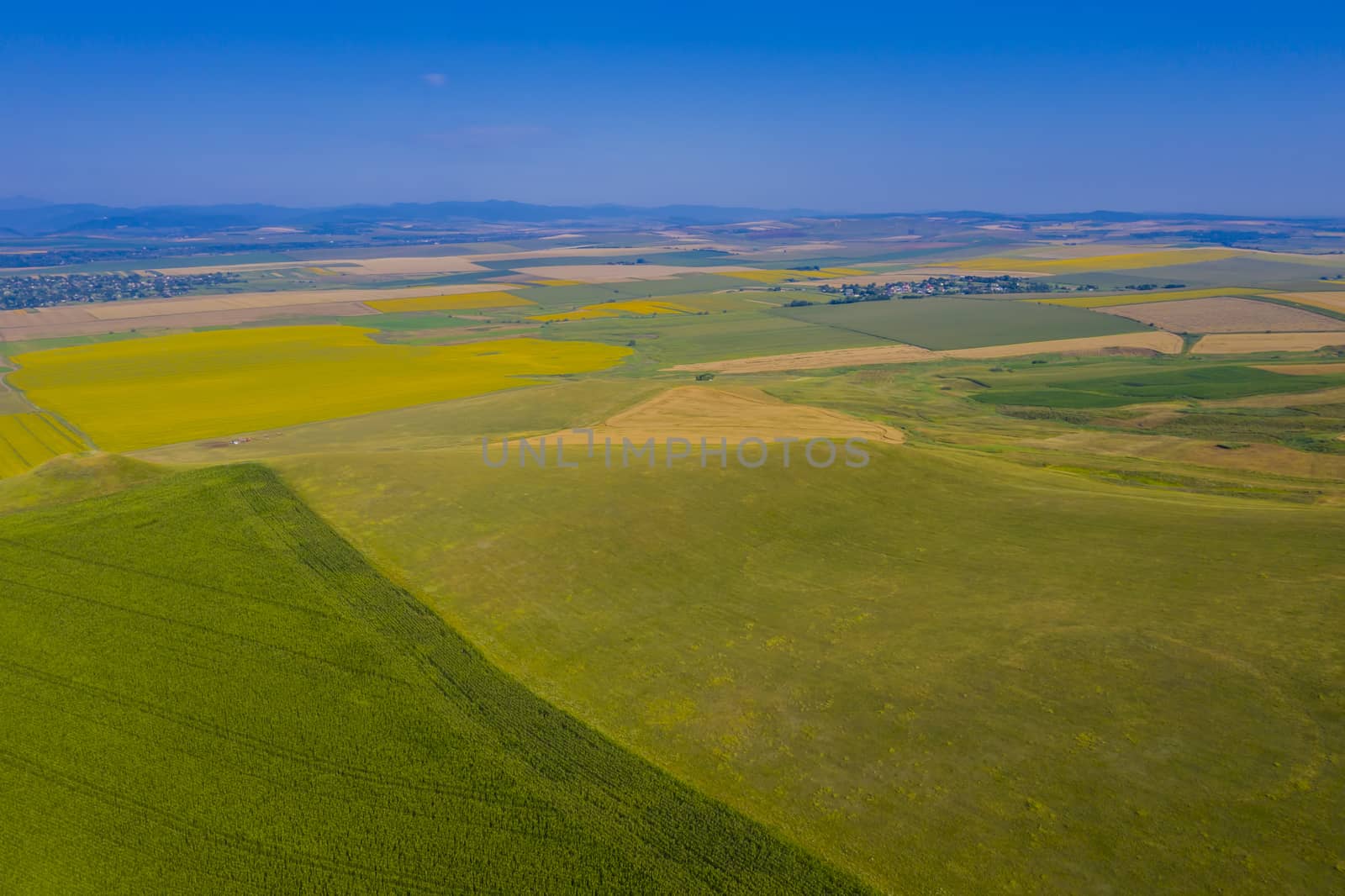 Summer aerial view of pasture and fields in a rural landscape