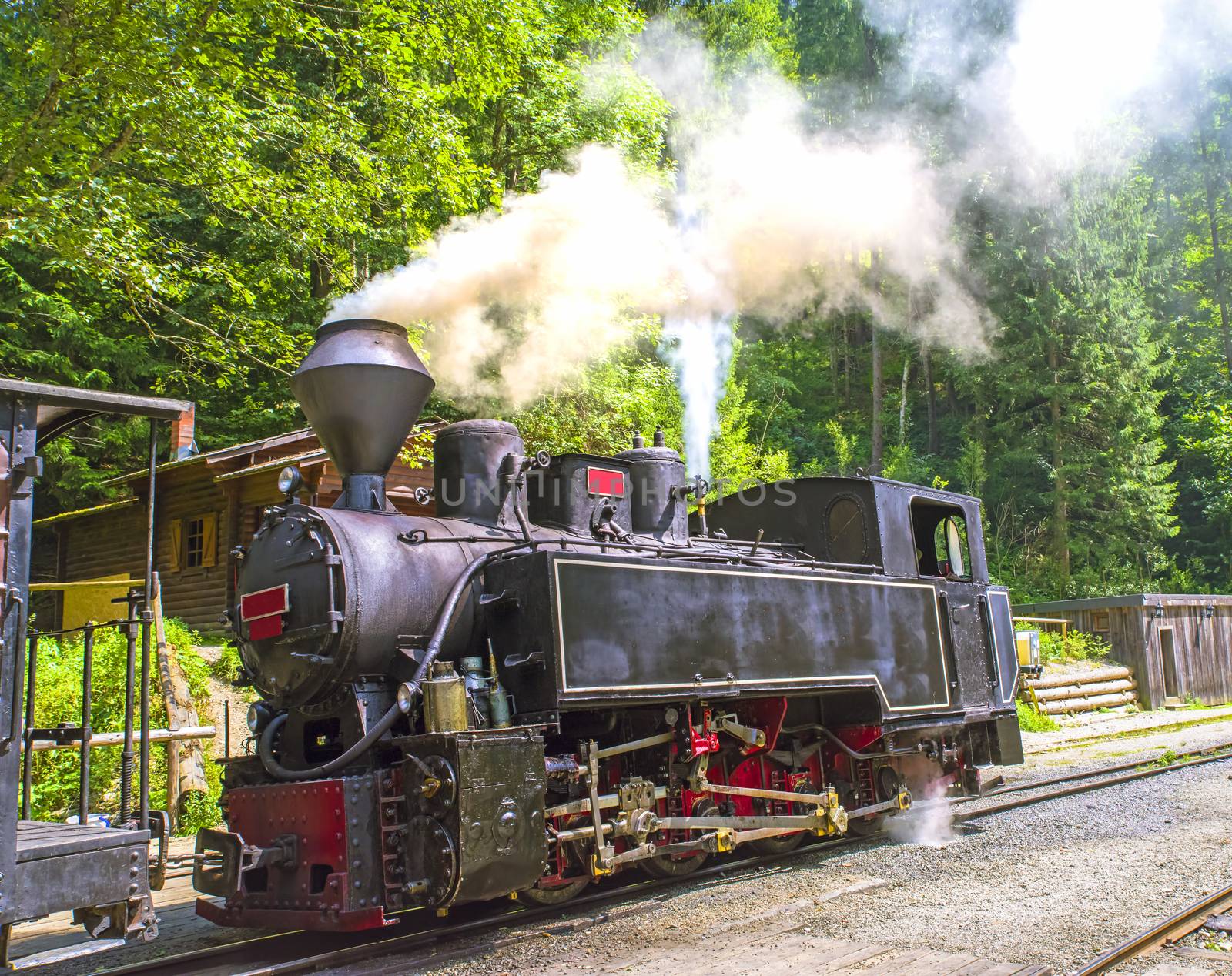 Aged steam engine locomotive working in summer forest